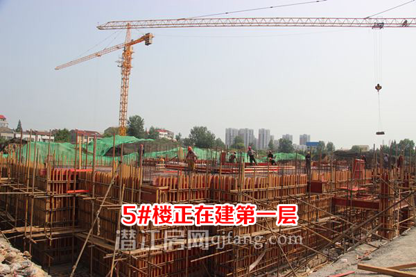 2017080317020824043g1echk.jpg 2017080314511639480sf8gcl.jpg