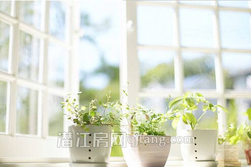 2017081116184027544cipeau.jpg 3.jpg