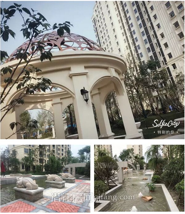 2017090810344746782ekm99a.jpg 5.jpg