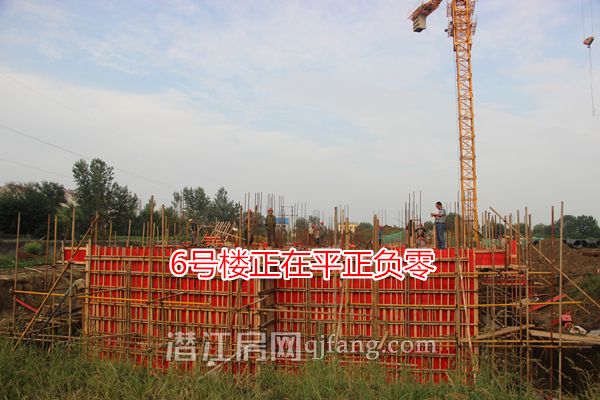 2017092908413586616shujpg.jpg IMG_1519_副本.jpg