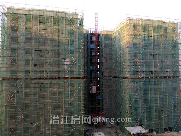 2017110217140017921jnmixi.jpg P71102-163541.jpg