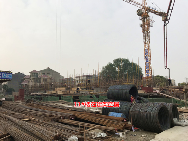 2017111516105051766ecm9od.jpg 11.jpg