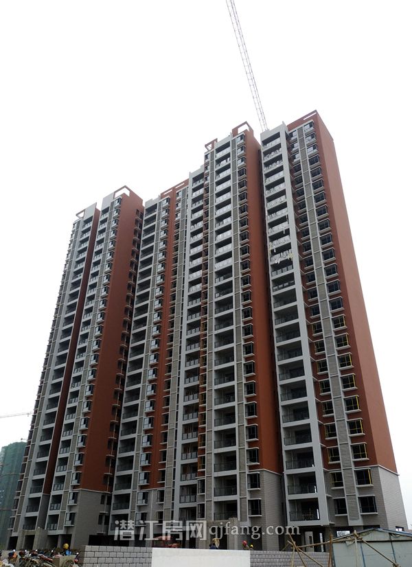 2017112117065763463rad4n3.jpg P71121-141346(1).jpg