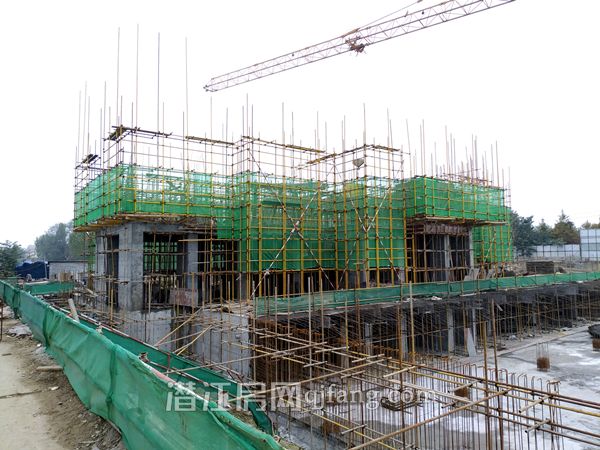 2017112117072742100mmxgy2.jpg P71121-141515.jpg