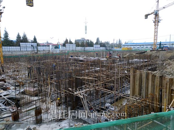 2017112117074172853svdzhj.jpg P71121-141435.jpg