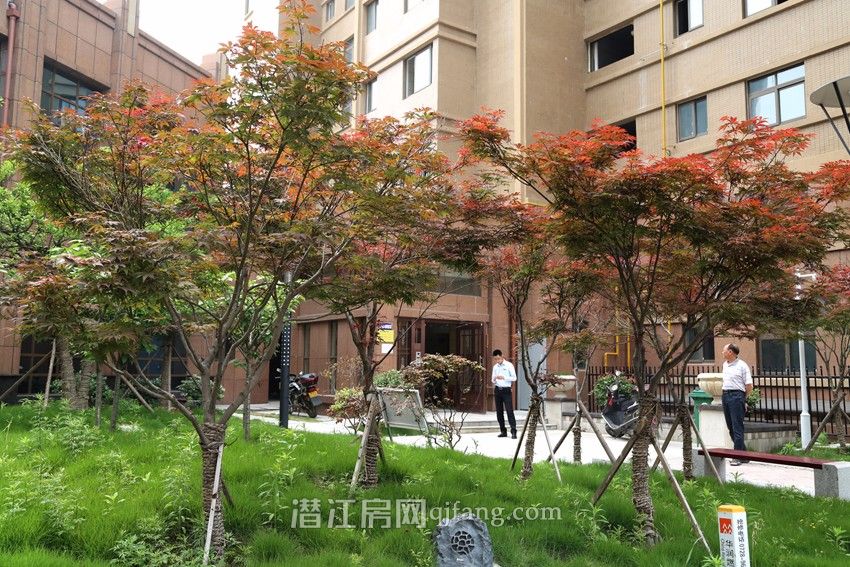 金桥郡3室2厅现房出售