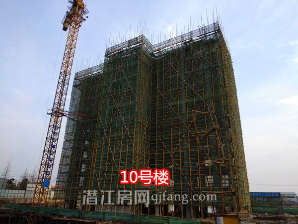 2018020818131471680qdwacc.jpg P80208-162217.jpg