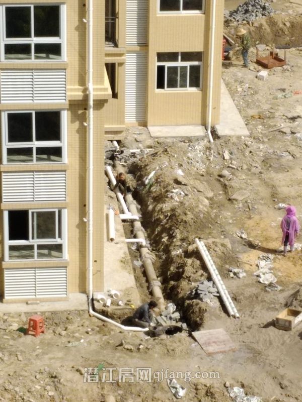 2018040915431927200qudy6t.jpg P80409-095522.jpg