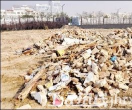 老家被强拆 清华博士拒百万私了