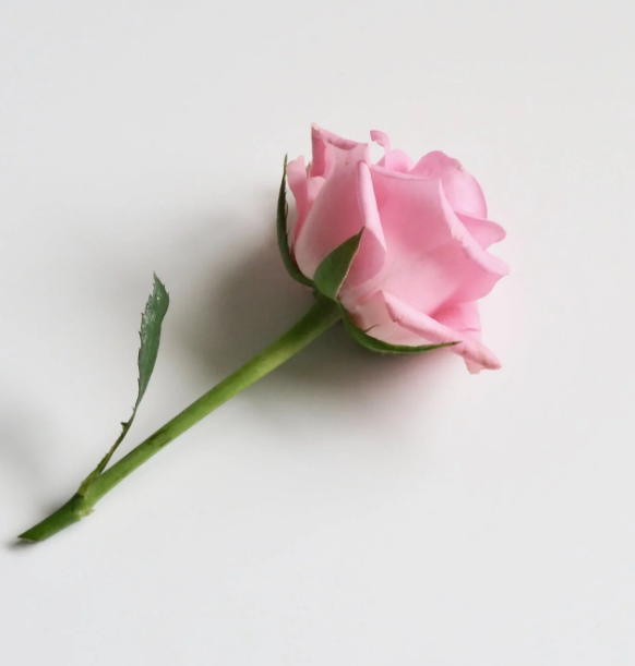 中伦·新天地|女神节宠粉送福利，致敬每个了不起的她