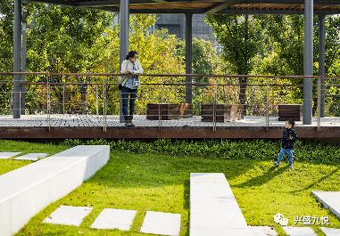 兴盛九悦|成长三步曲，趣赏趣玩趣藏孩子的快乐童年！