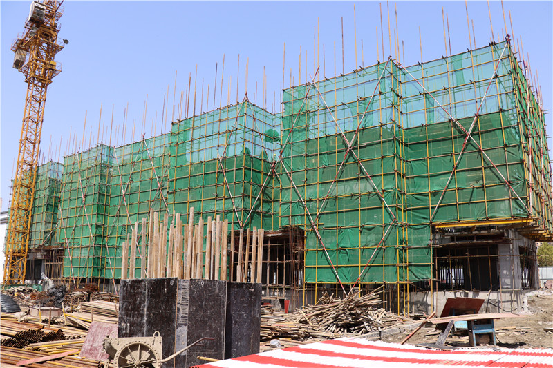 春光暖暖，悦启家音丨东升·紫悦府三月工程进度播报