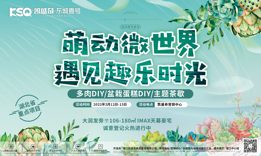 凯盛奇·东城壹号|多肉DIY来袭，快来领走你的“小鲜肉”