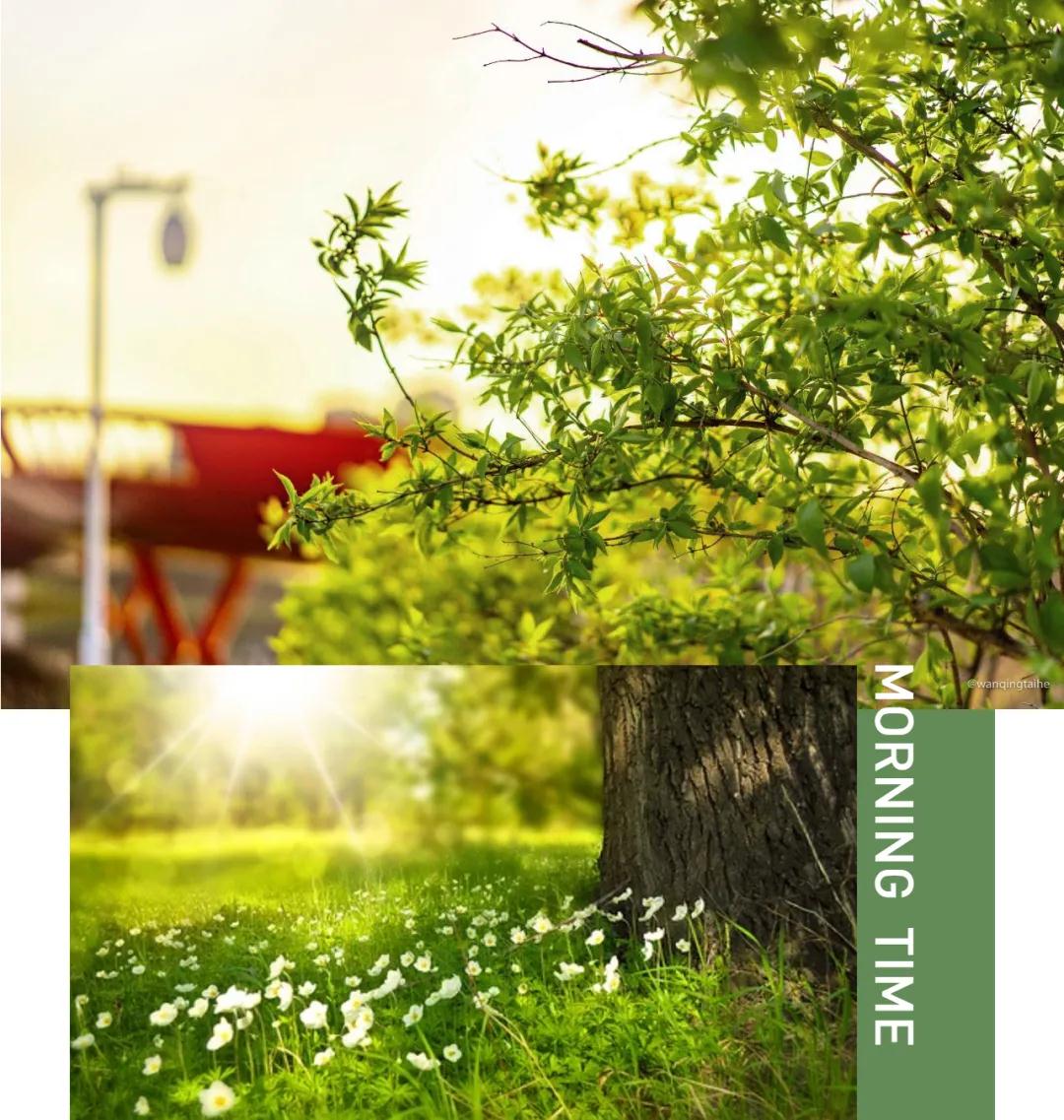 春暖花开 绿意盎然｜双园环绕，随心所欲畅享春趣！